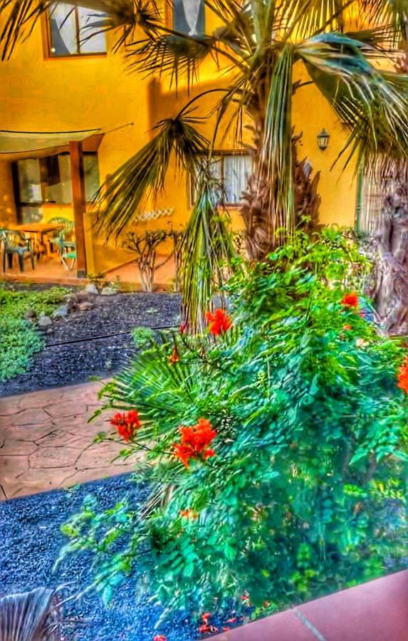 Paradise House Corralejo Bagian luar foto